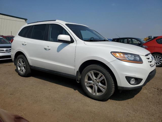 Photo 3 VIN: 5NMSGDAG3AH403270 - HYUNDAI SANTA FE G 