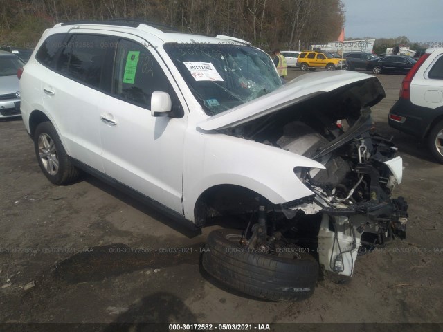 Photo 0 VIN: 5NMSKDAG0AH333919 - HYUNDAI SANTA FE 