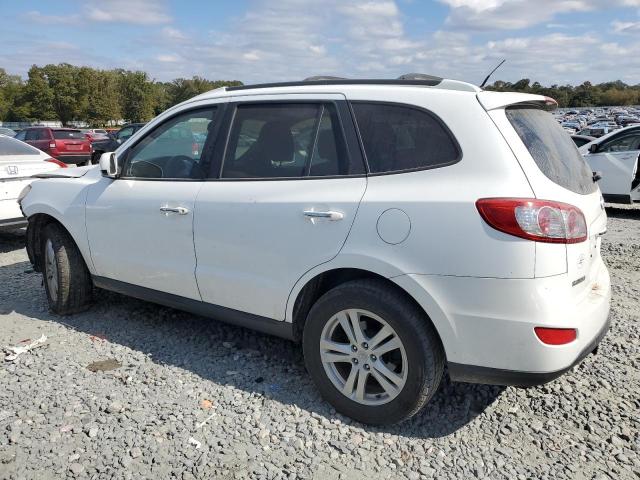 Photo 1 VIN: 5NMSKDAG7AH398783 - HYUNDAI SANTA FE L 