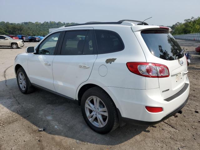 Photo 1 VIN: 5NMSKDAGXAH366183 - HYUNDAI SANTA FE L 