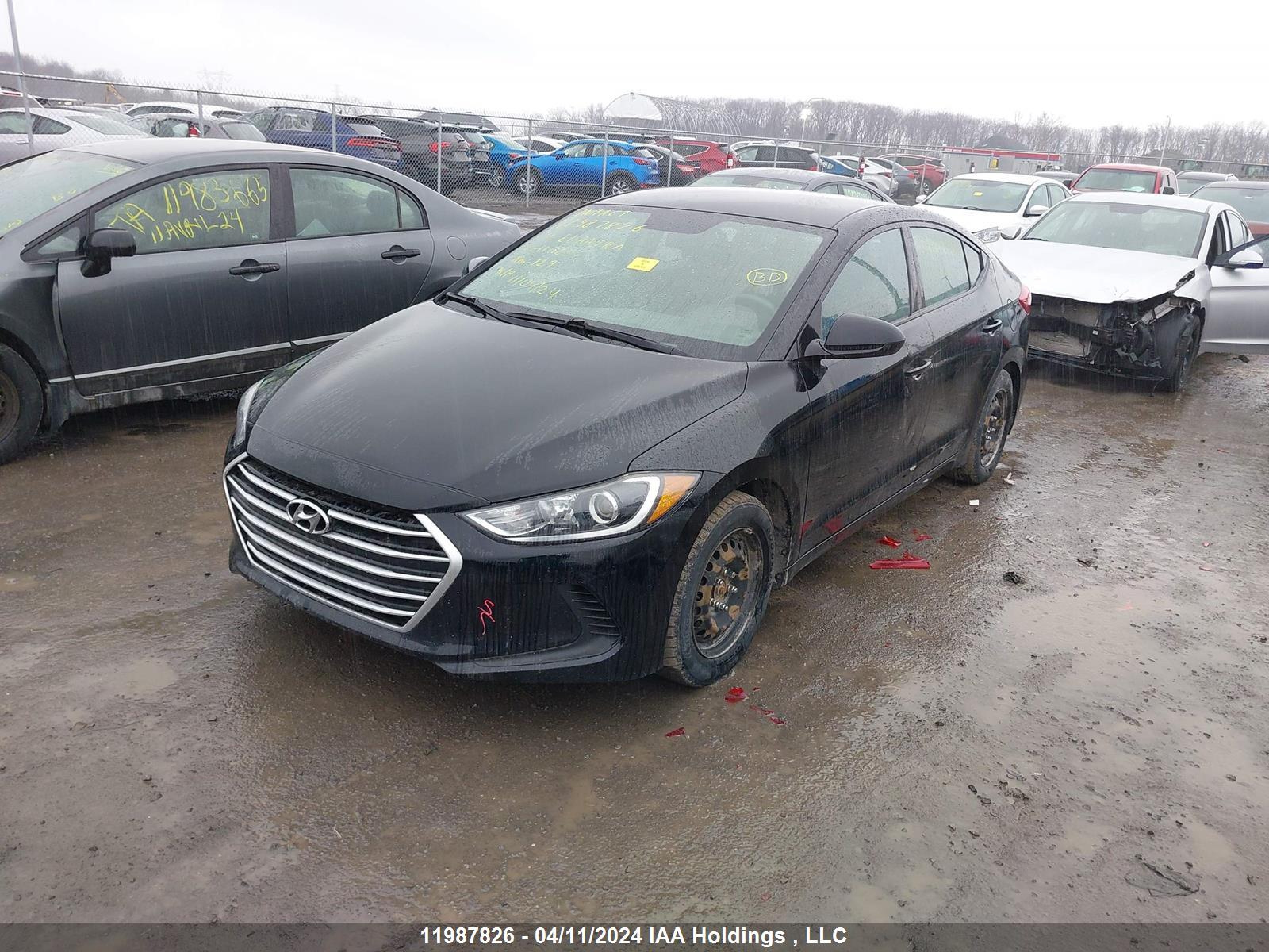 Photo 1 VIN: 5NPD74LF0HH111182 - HYUNDAI ELANTRA 