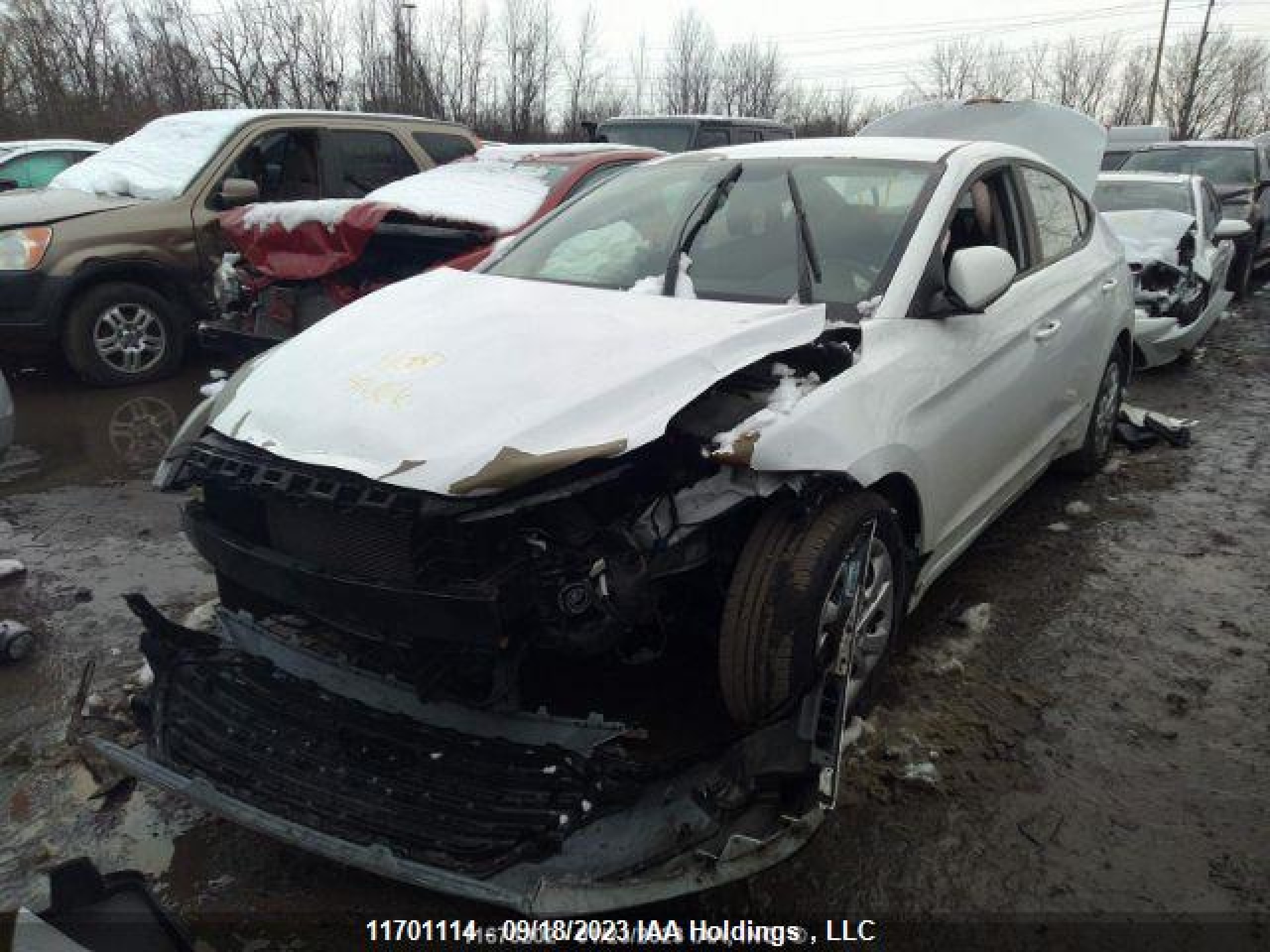 Photo 1 VIN: 5NPD74LF6HH132828 - HYUNDAI ELANTRA 