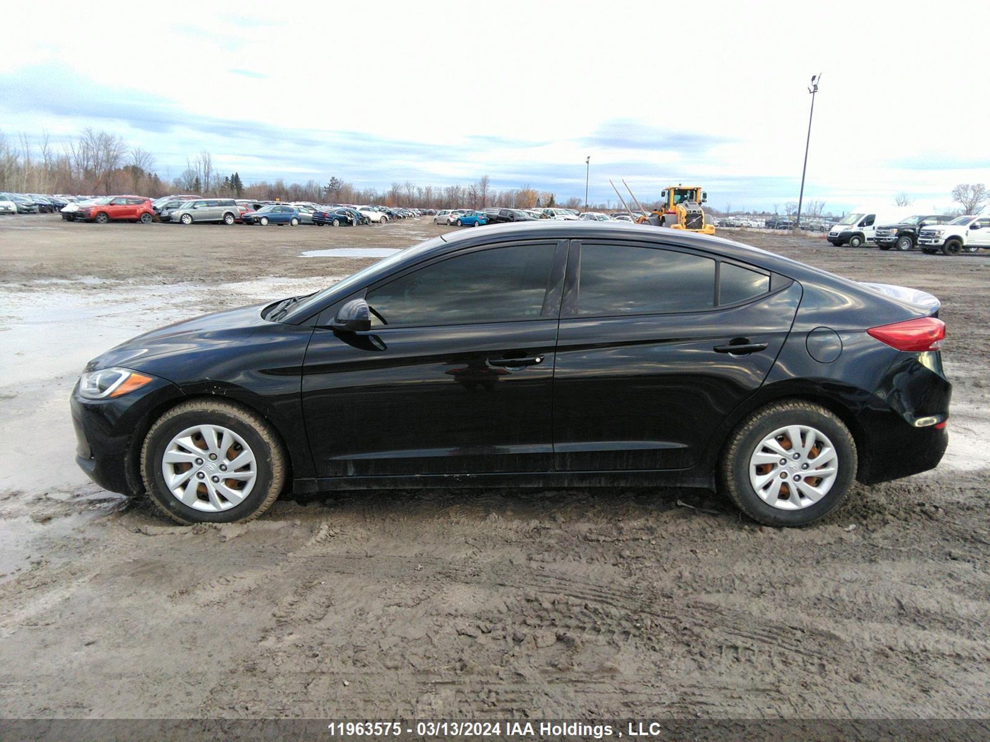 Photo 13 VIN: 5NPD74LFXHH043375 - HYUNDAI ELANTRA 