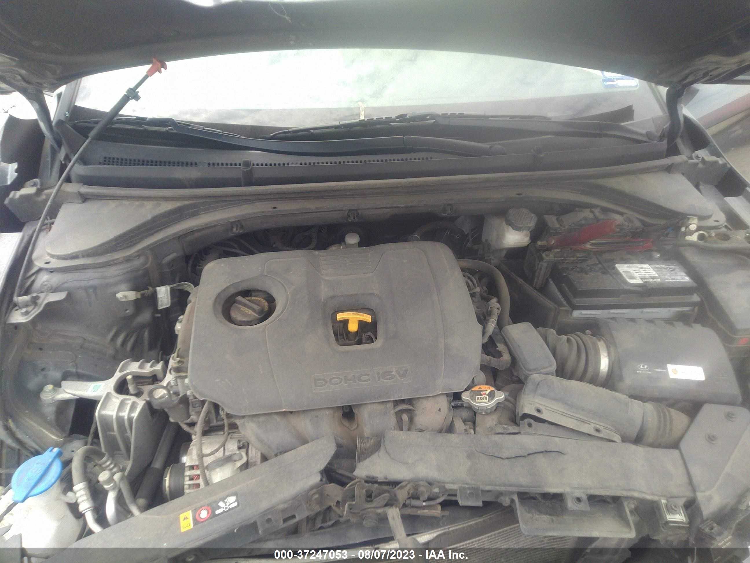 Photo 9 VIN: 5NPD84LF2KH484910 - HYUNDAI ELANTRA 