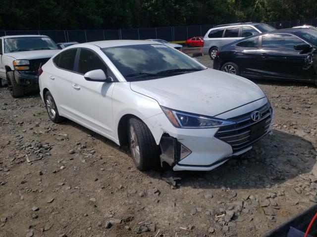 Photo 0 VIN: 5NPD84LF4KH416902 - HYUNDAI ELANTRA SE 