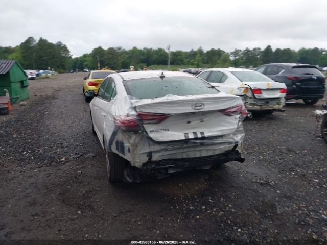 Photo 5 VIN: 5NPD84LF9HH186556 - HYUNDAI ELANTRA 