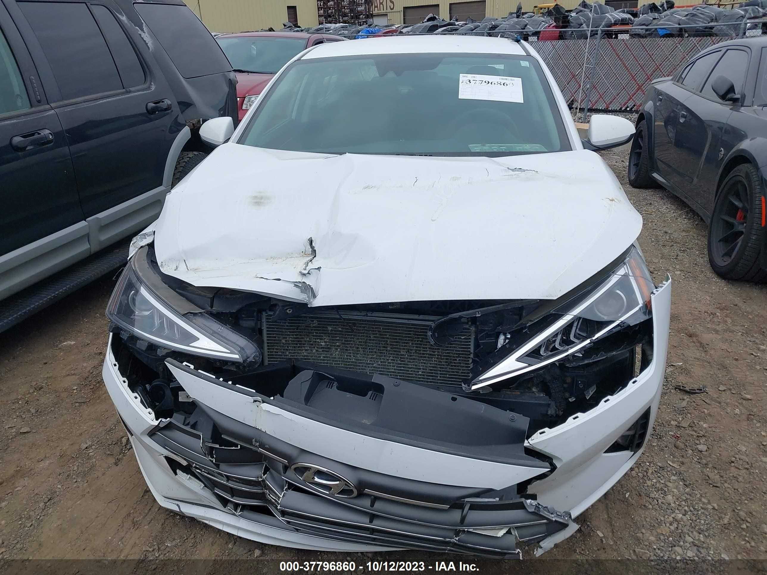 Photo 11 VIN: 5NPD84LF9KH496553 - HYUNDAI ELANTRA 