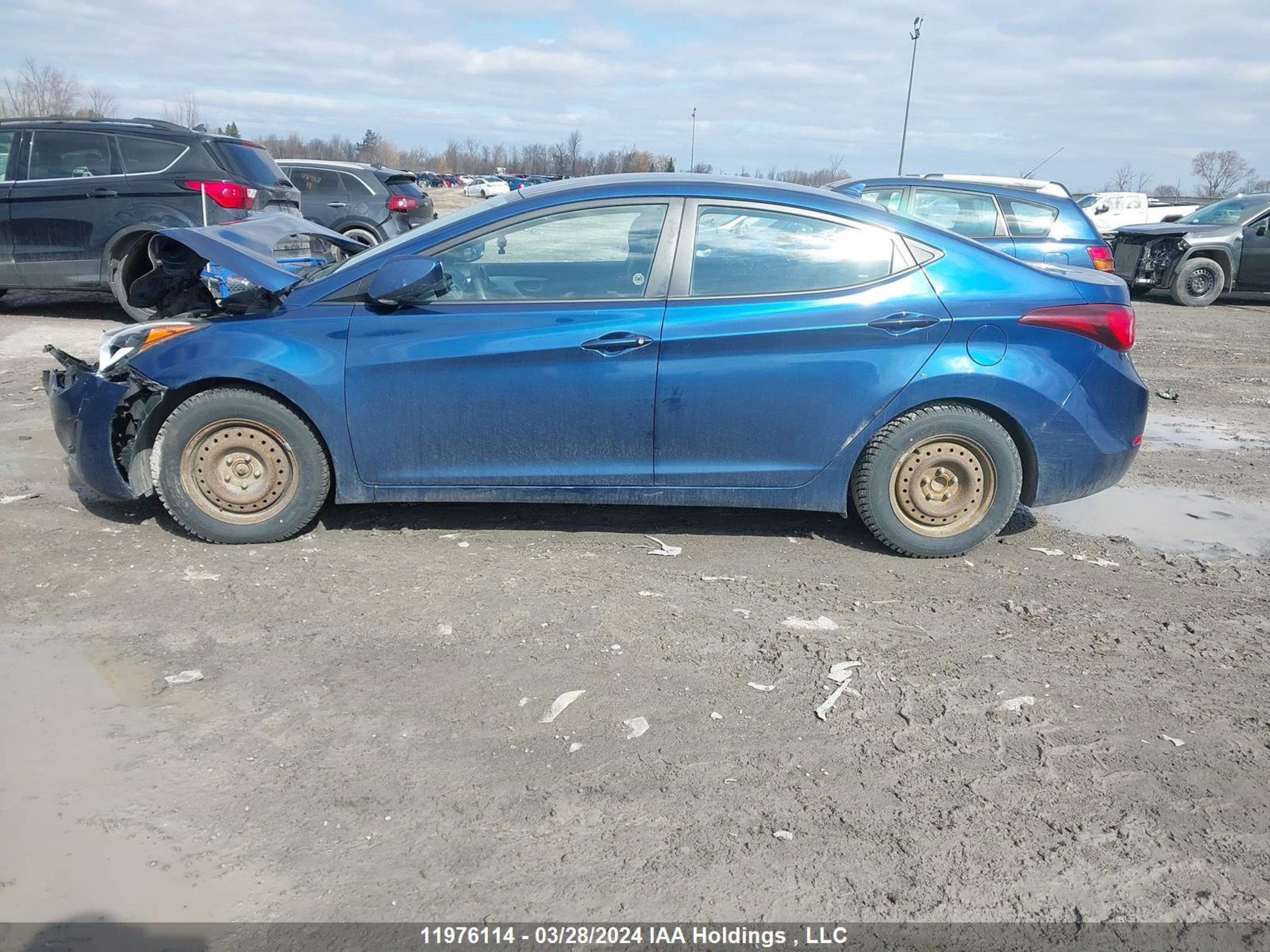 Photo 14 VIN: 5NPDH4AE1FH616958 - HYUNDAI ELANTRA 