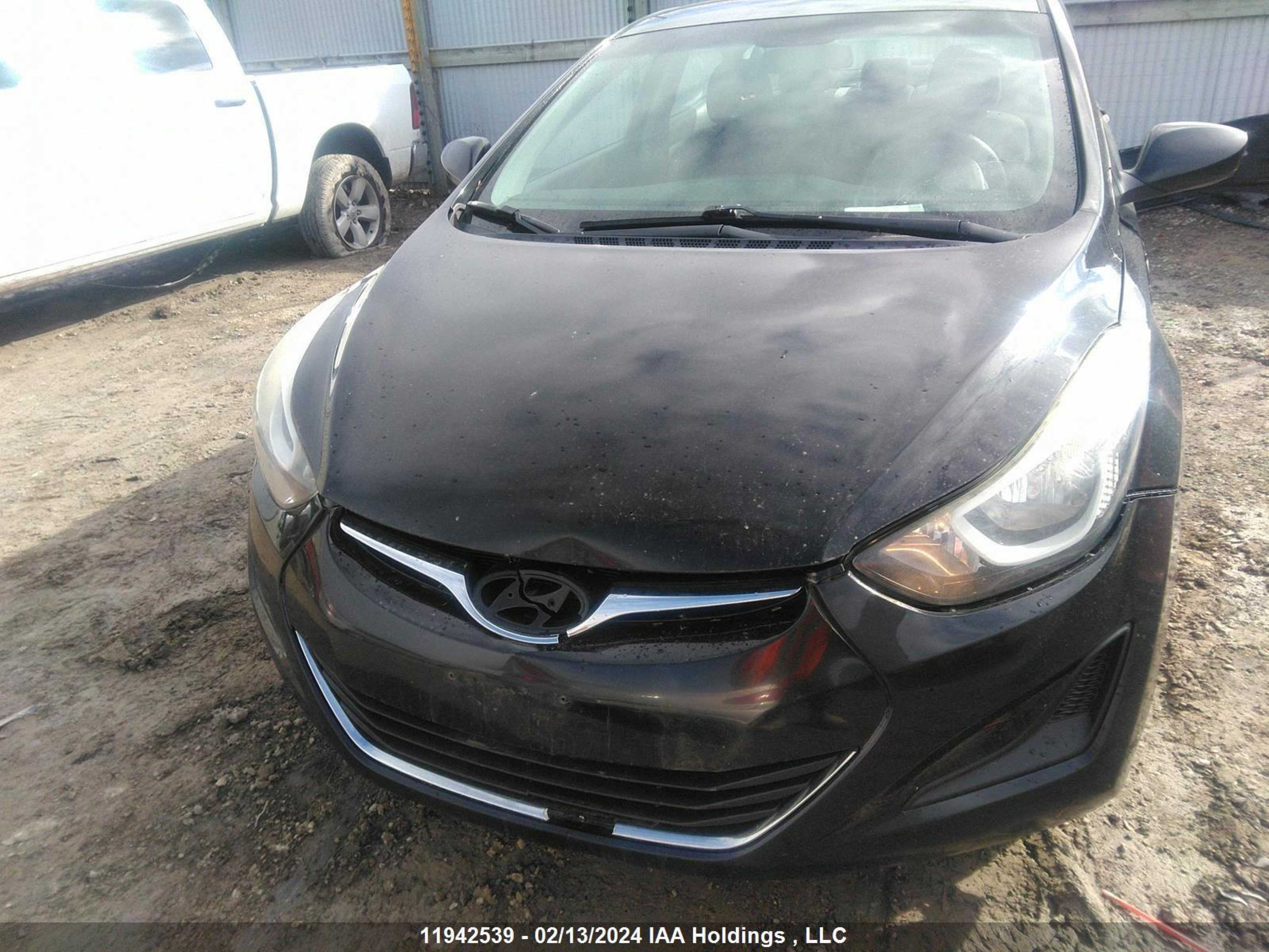 Photo 11 VIN: 5NPDH4AE1FH617849 - HYUNDAI ELANTRA 