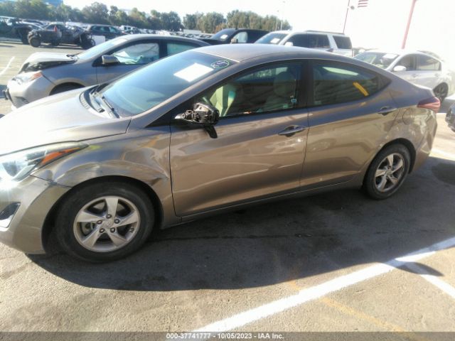 Photo 5 VIN: 5NPDH4AE1FH646557 - HYUNDAI ELANTRA 