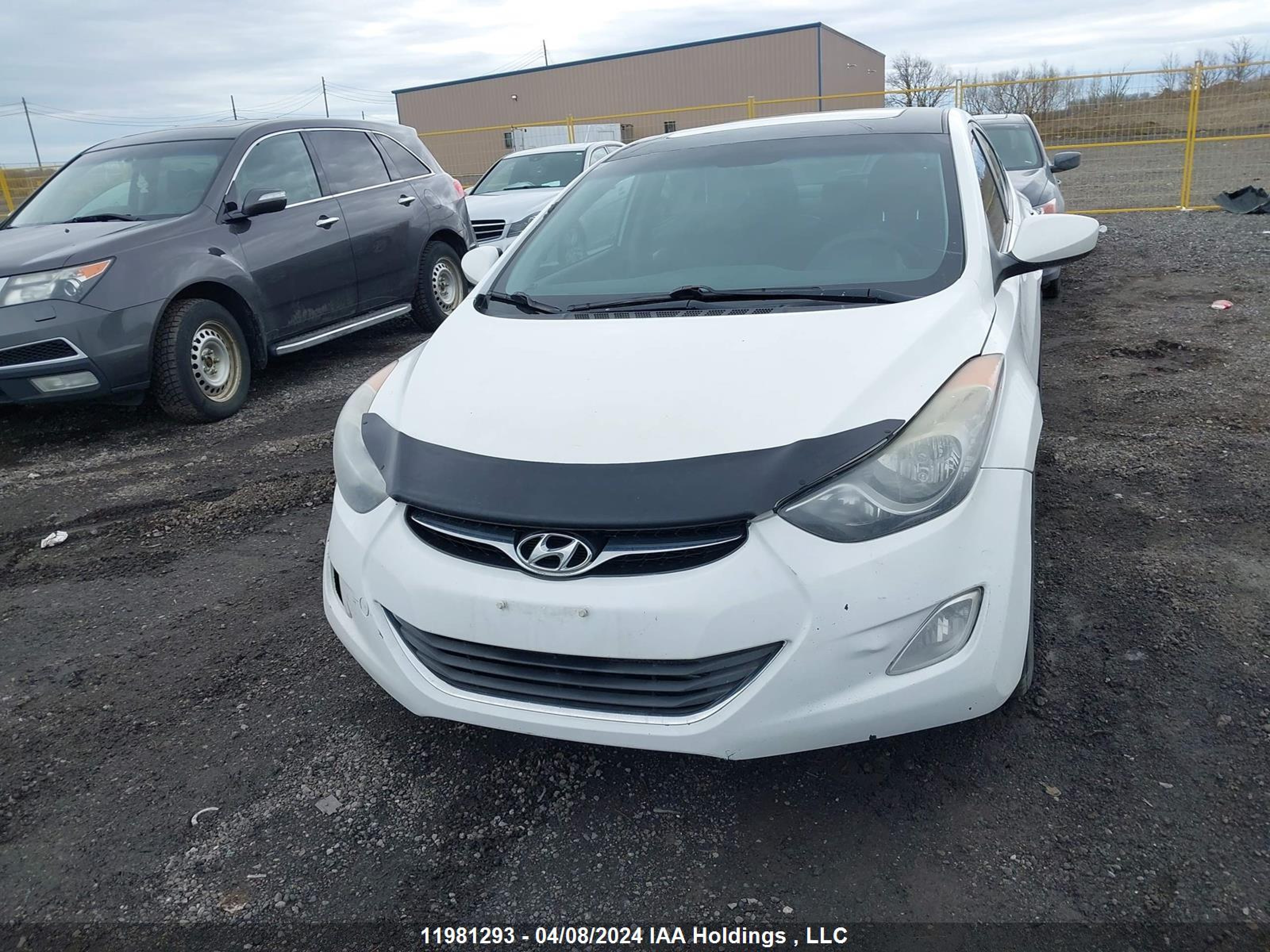 Photo 11 VIN: 5NPDH4AE2DH190436 - HYUNDAI ELANTRA 