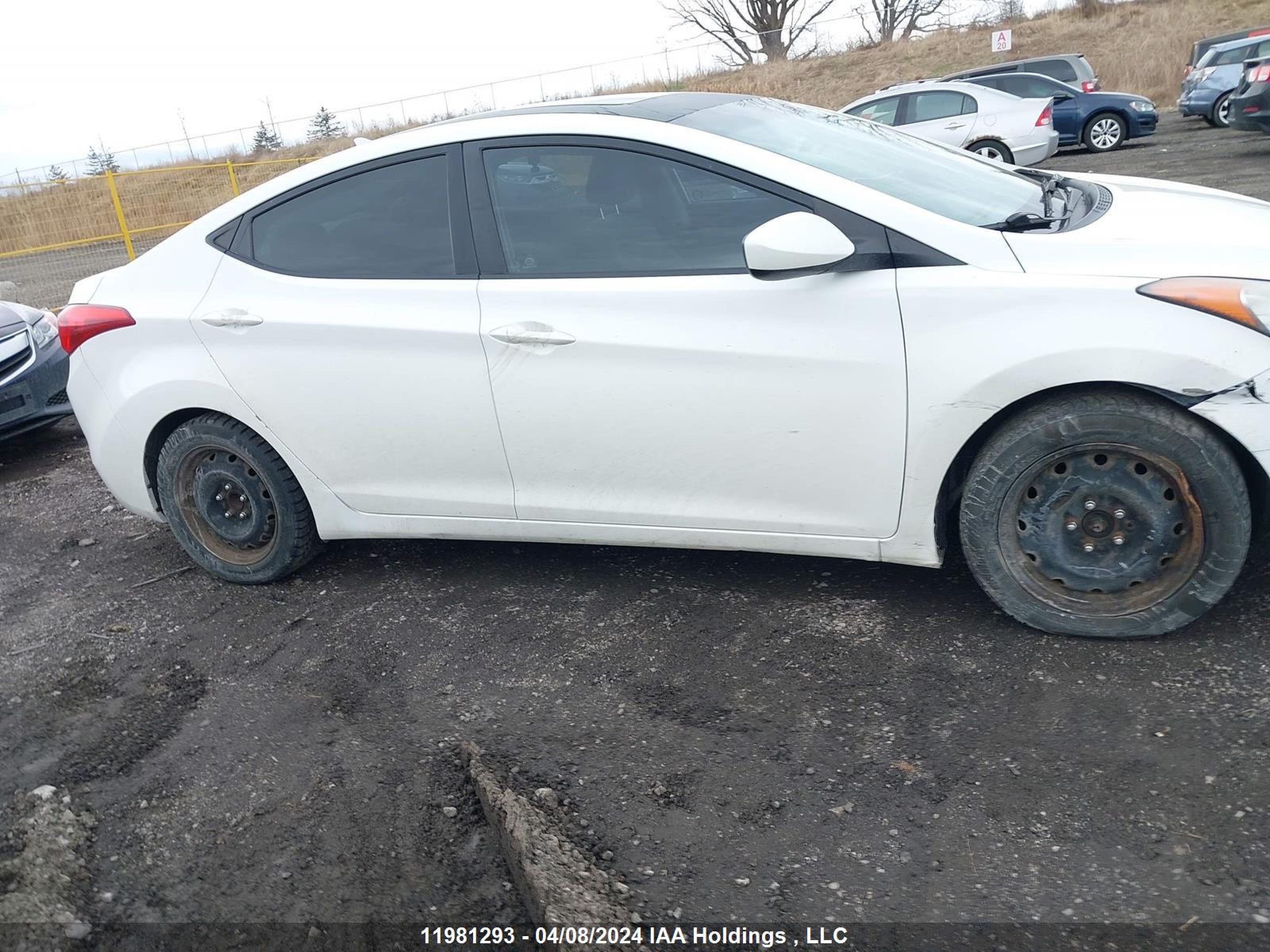 Photo 12 VIN: 5NPDH4AE2DH190436 - HYUNDAI ELANTRA 