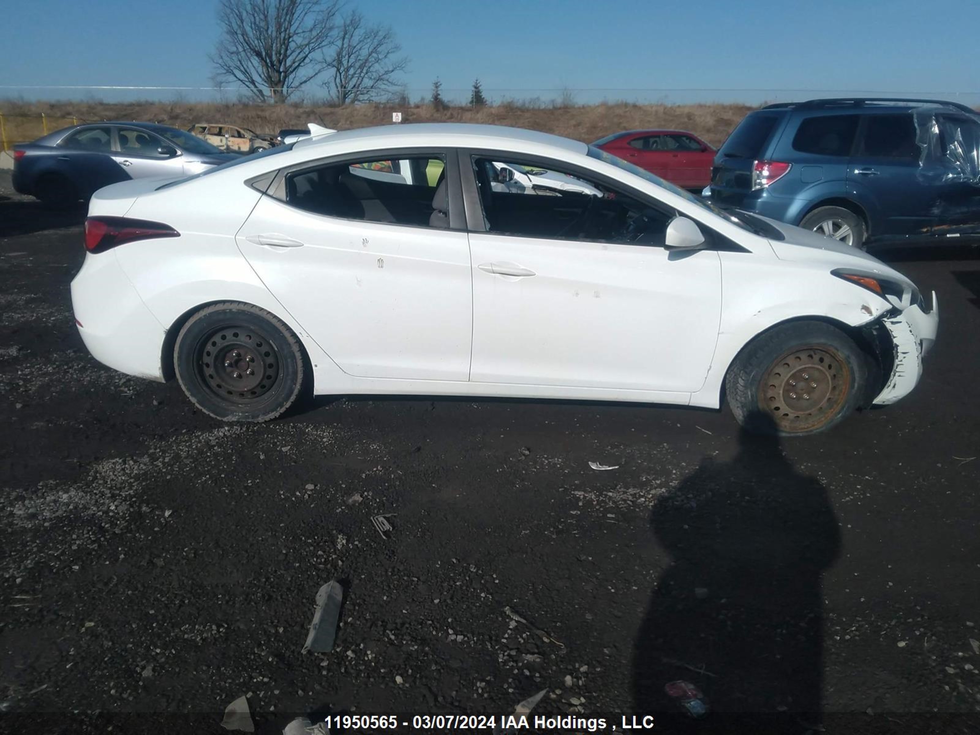 Photo 11 VIN: 5NPDH4AE4EH478802 - HYUNDAI ELANTRA 