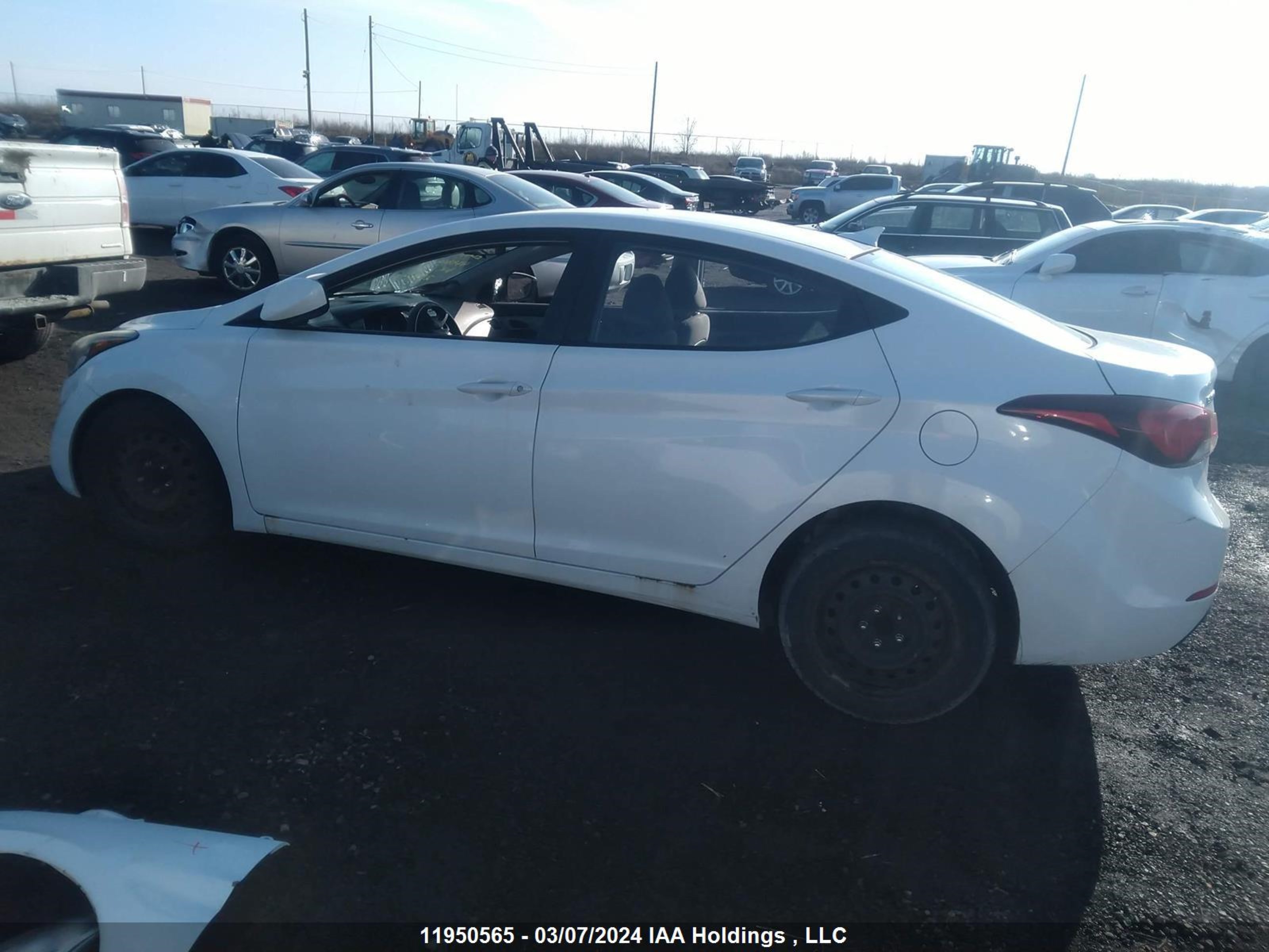 Photo 12 VIN: 5NPDH4AE4EH478802 - HYUNDAI ELANTRA 