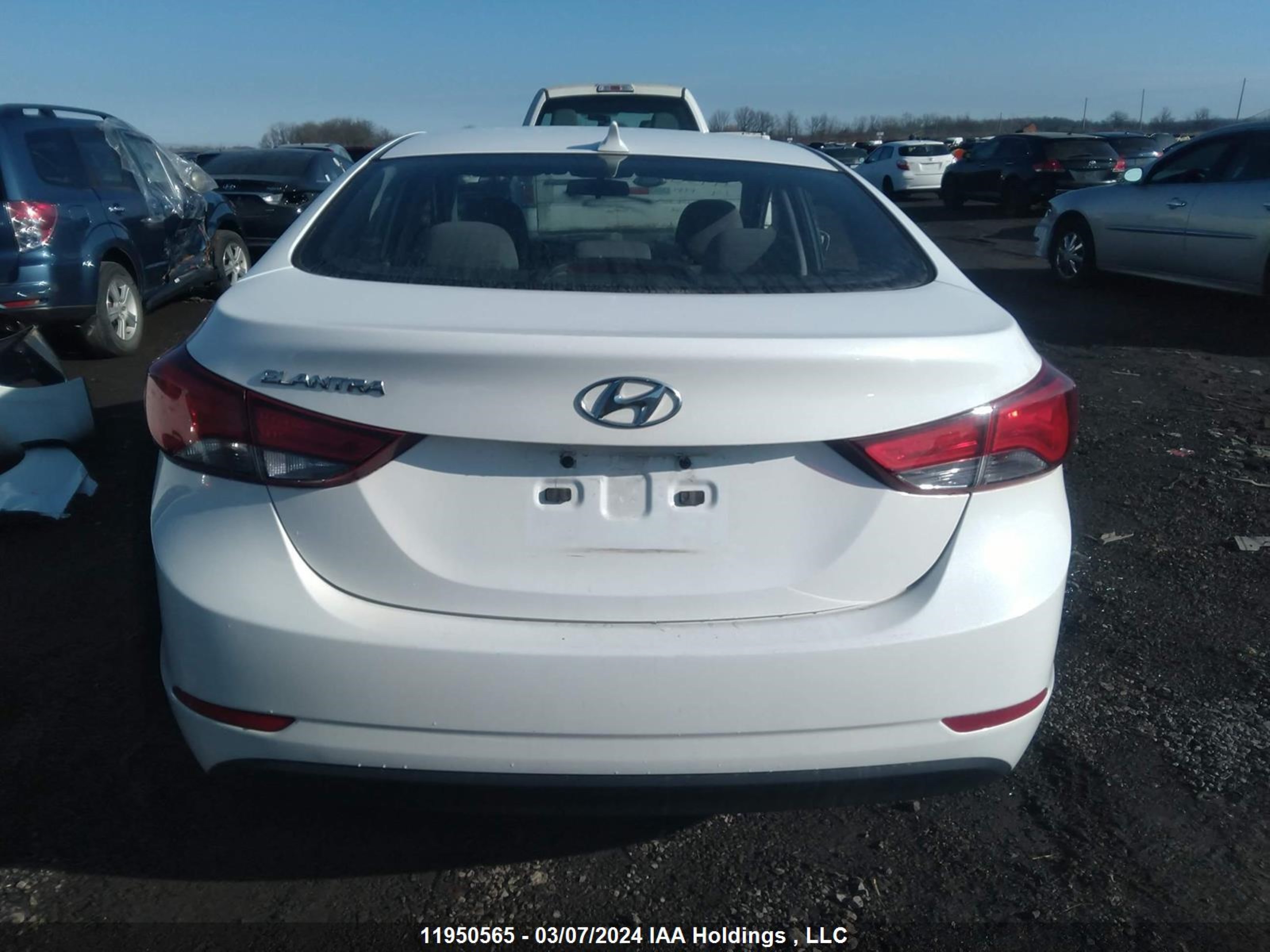 Photo 14 VIN: 5NPDH4AE4EH478802 - HYUNDAI ELANTRA 