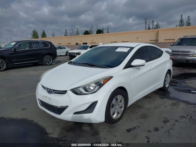 Photo 1 VIN: 5NPDH4AE4GH733239 - HYUNDAI ELANTRA 