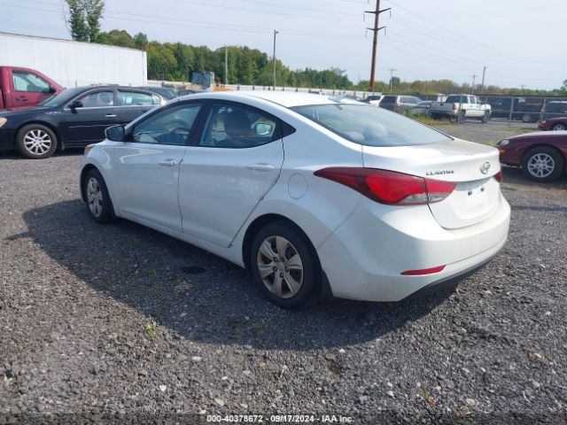 Photo 2 VIN: 5NPDH4AE5GH668224 - HYUNDAI ELANTRA 