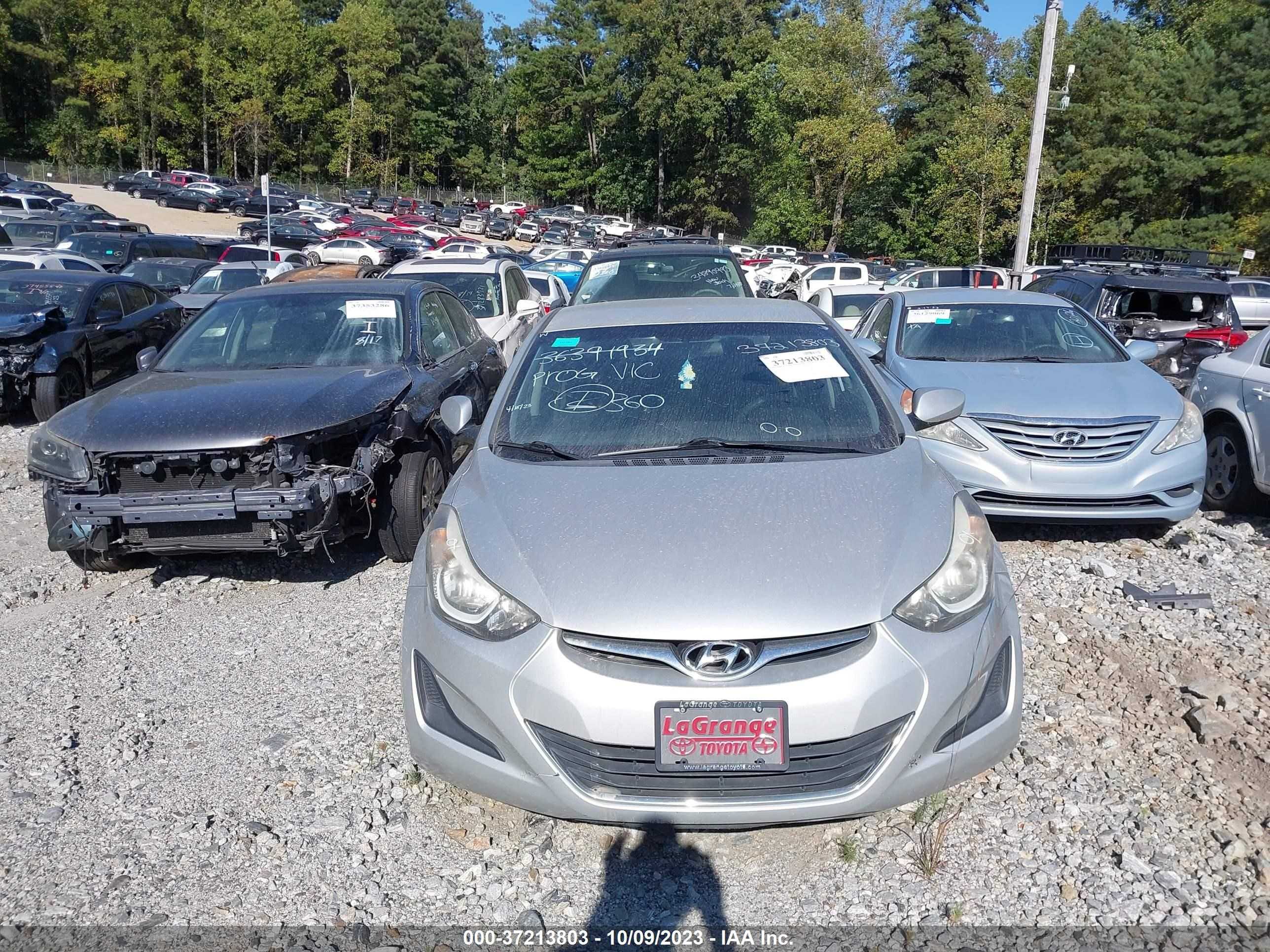 Photo 11 VIN: 5NPDH4AE5GH726283 - HYUNDAI ELANTRA 