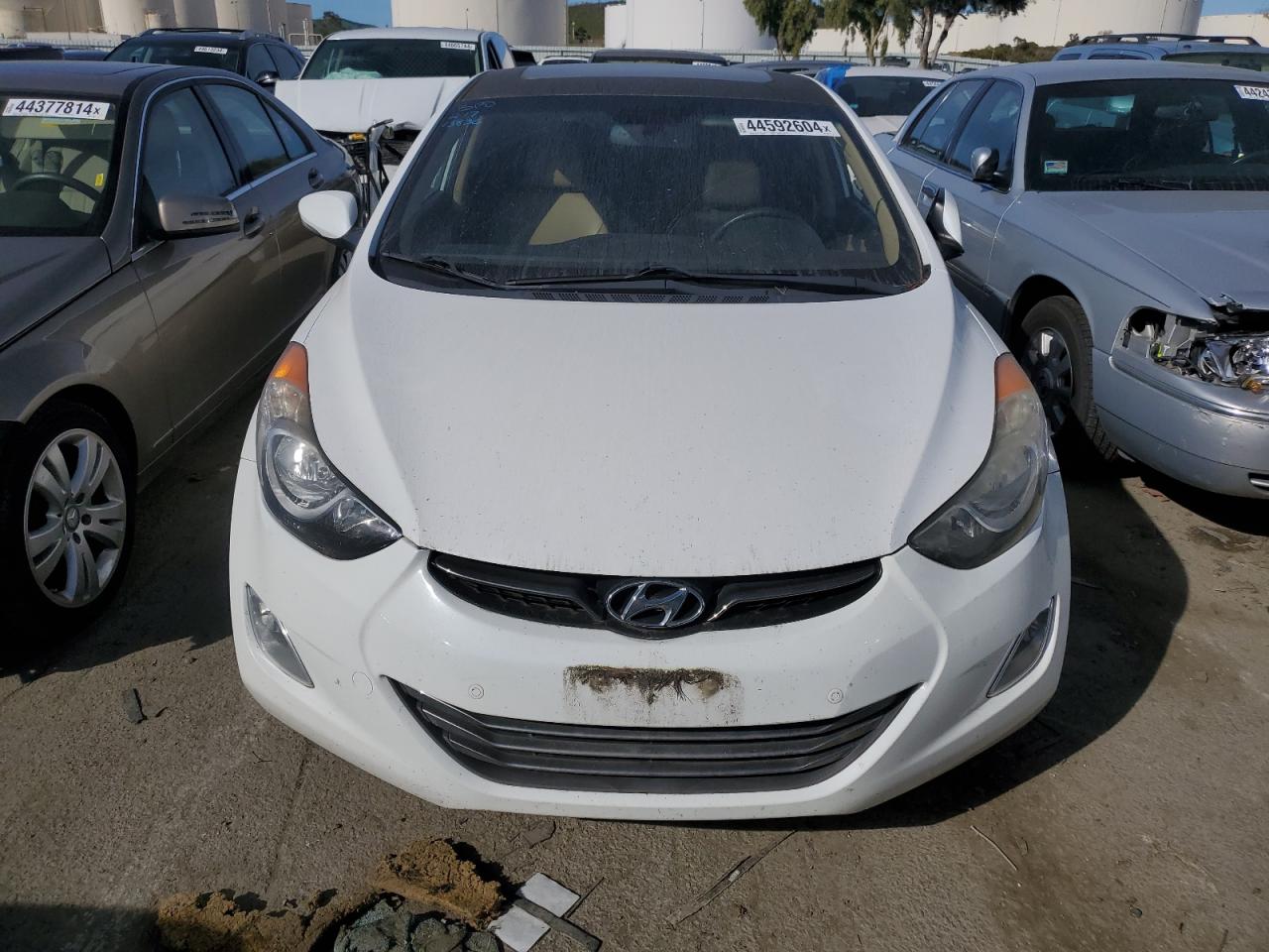 Photo 4 VIN: 5NPDH4AE7DH265177 - HYUNDAI ELANTRA 