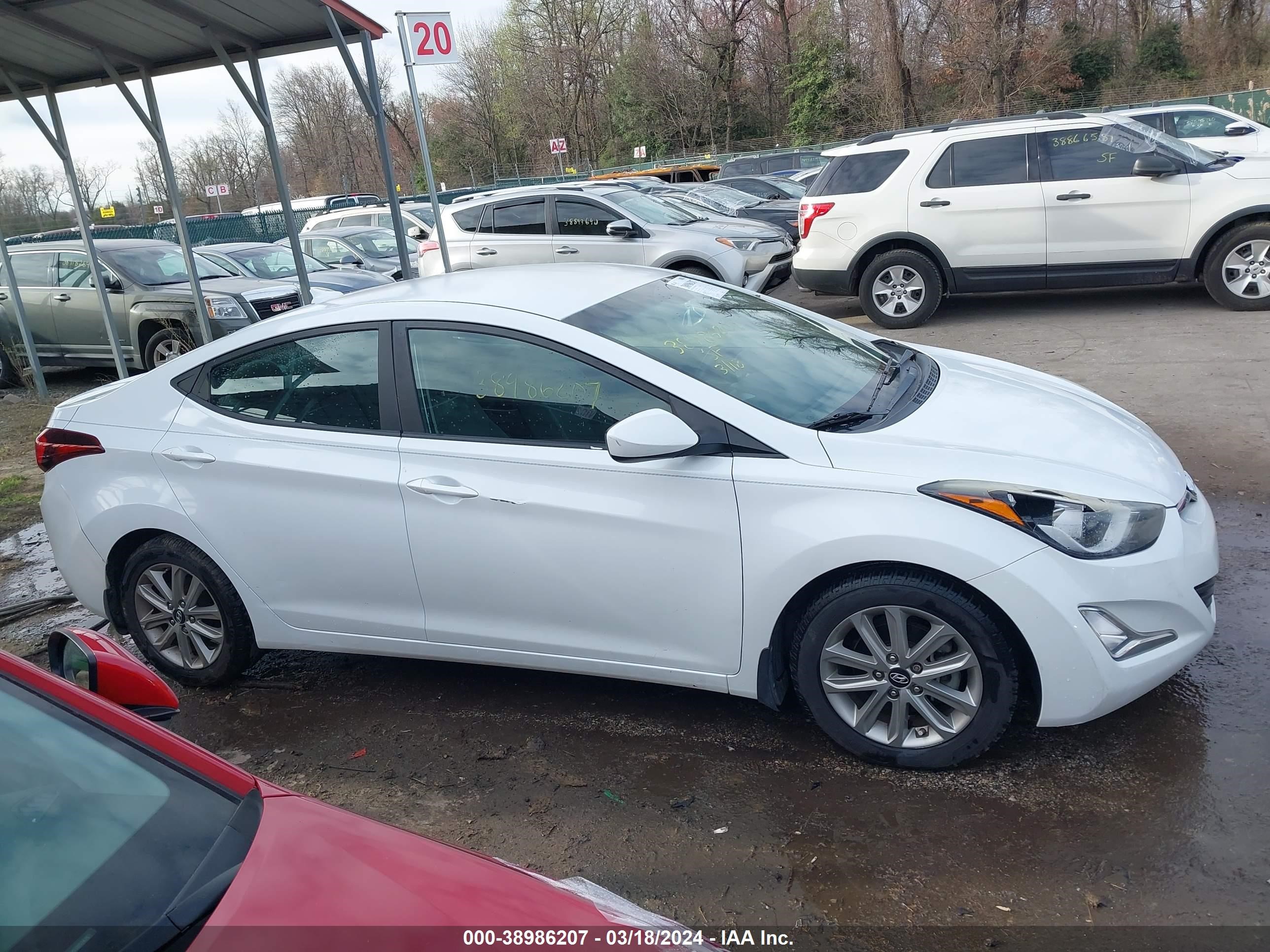 Photo 12 VIN: 5NPDH4AE8GH654785 - HYUNDAI ELANTRA 