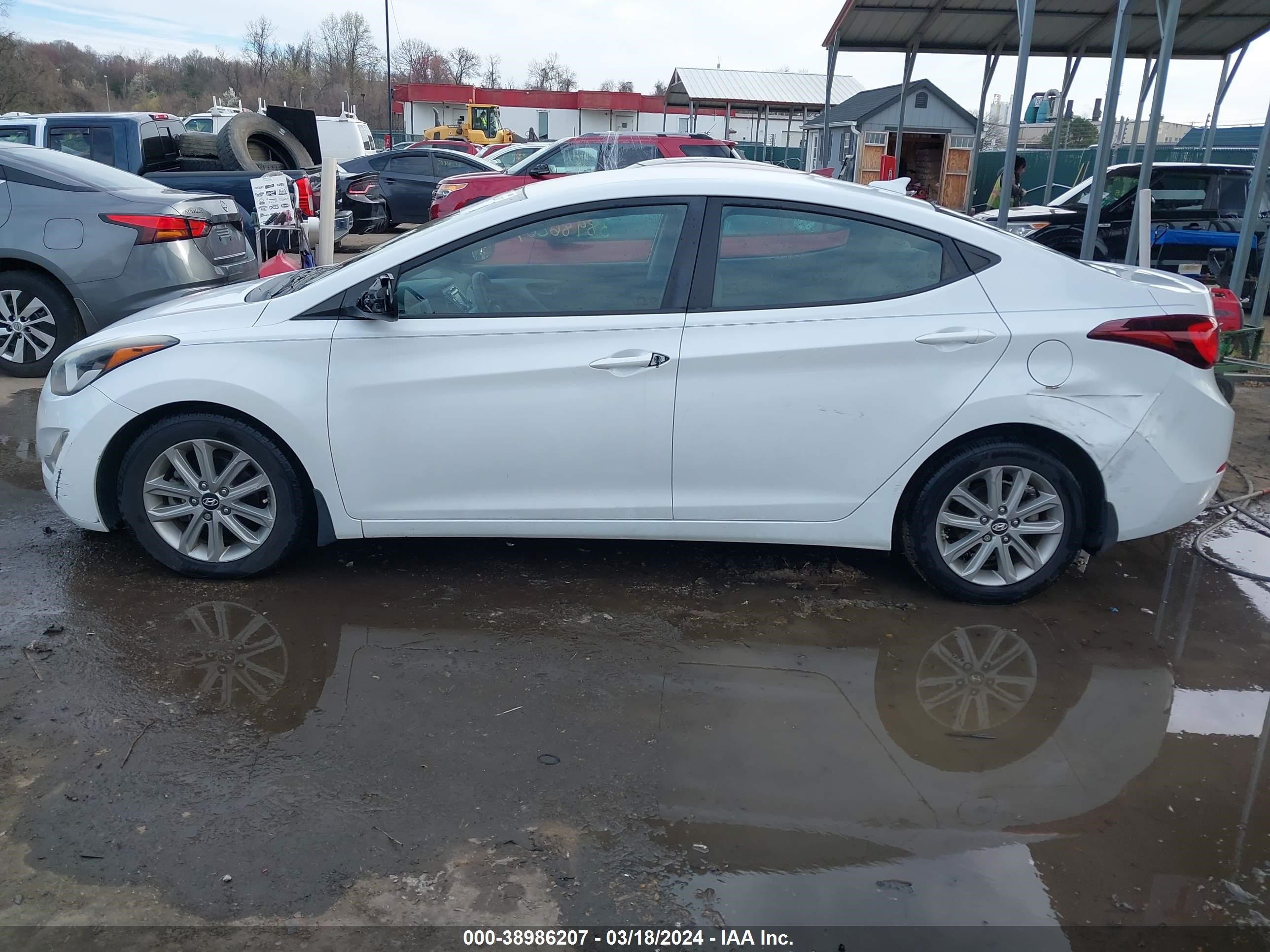 Photo 13 VIN: 5NPDH4AE8GH654785 - HYUNDAI ELANTRA 