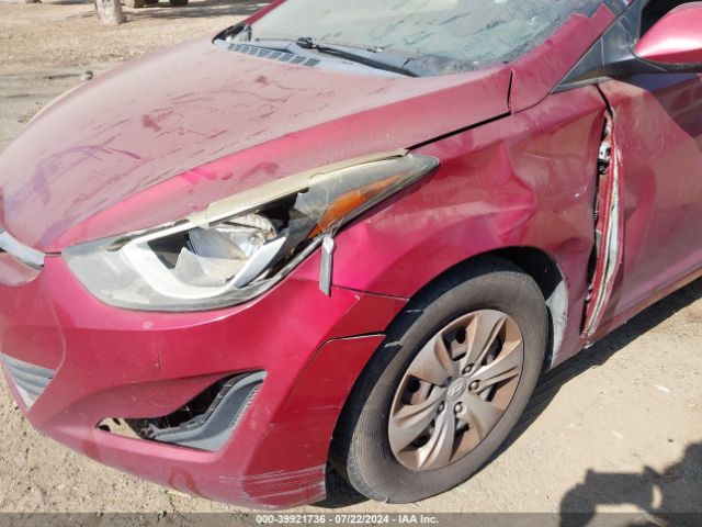 Photo 5 VIN: 5NPDH4AE8GH688760 - HYUNDAI ELANTRA 