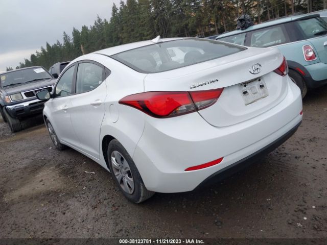 Photo 2 VIN: 5NPDH4AE9GH708336 - HYUNDAI ELANTRA 