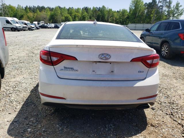 Photo 5 VIN: 5NPE24AA0HH452057 - HYUNDAI SONATA ECO 