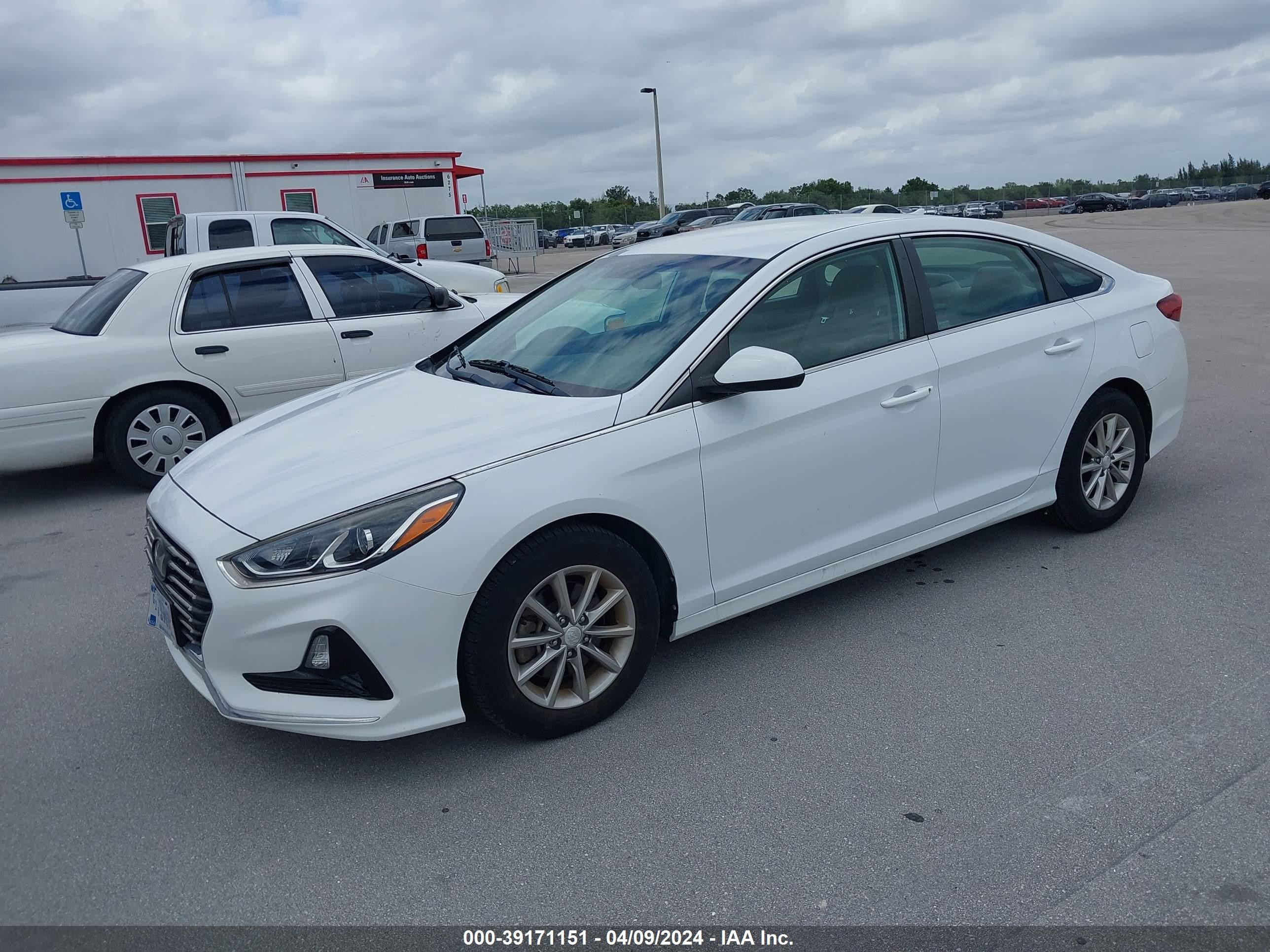 Photo 1 VIN: 5NPE24AA0JH702564 - HYUNDAI SONATA 