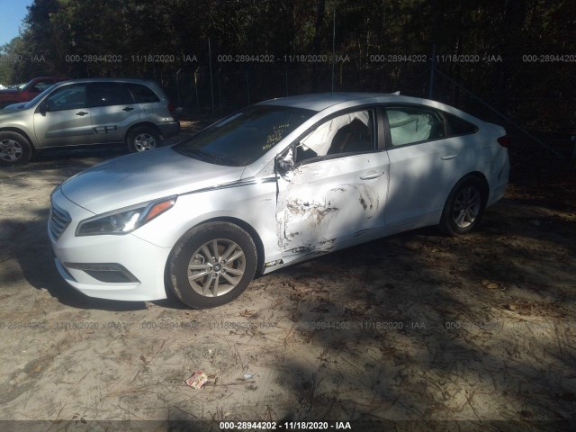 Photo 1 VIN: 5NPE24AA1GH426615 - HYUNDAI SONATA 