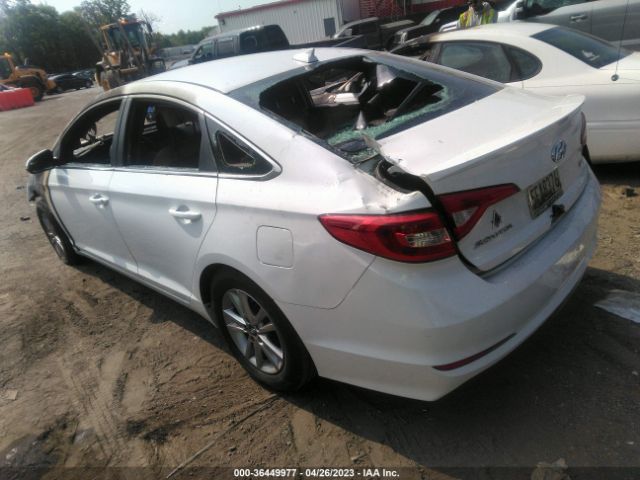 Photo 2 VIN: 5NPE24AA1GH433208 - HYUNDAI SONATA 