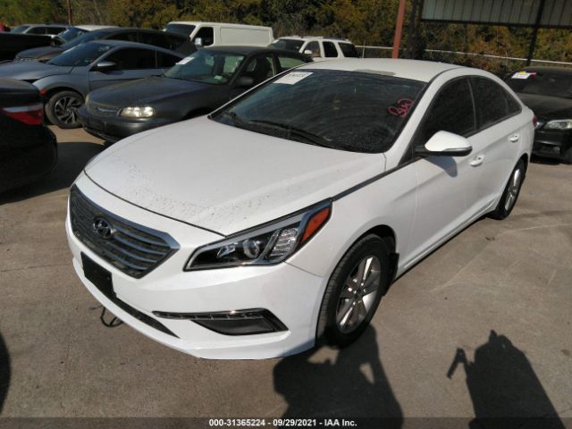 Photo 1 VIN: 5NPE24AA3FH116271 - HYUNDAI SONATA 