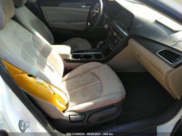 Photo 4 VIN: 5NPE24AA3FH116271 - HYUNDAI SONATA 