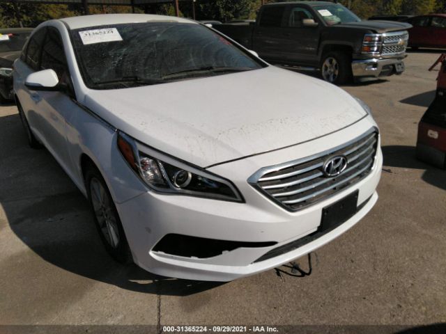 Photo 5 VIN: 5NPE24AA3FH116271 - HYUNDAI SONATA 