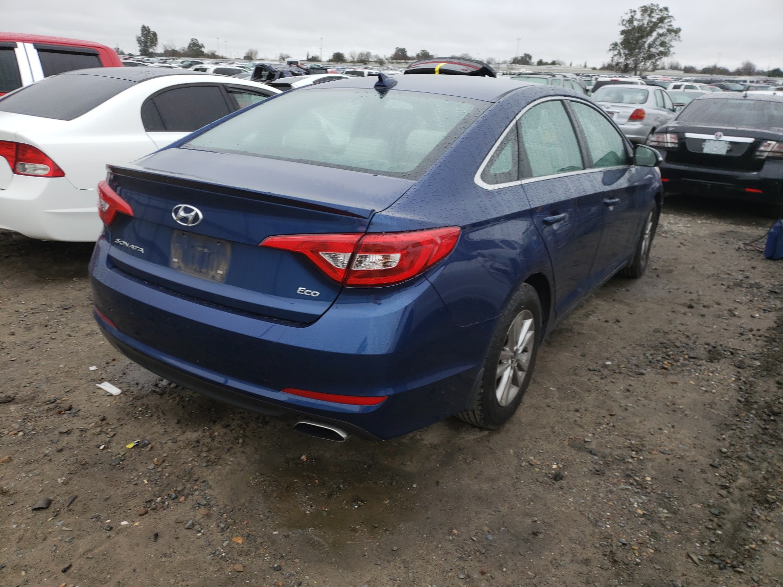 Photo 3 VIN: 5NPE24AA3FH162375 - HYUNDAI SONATA ECO 