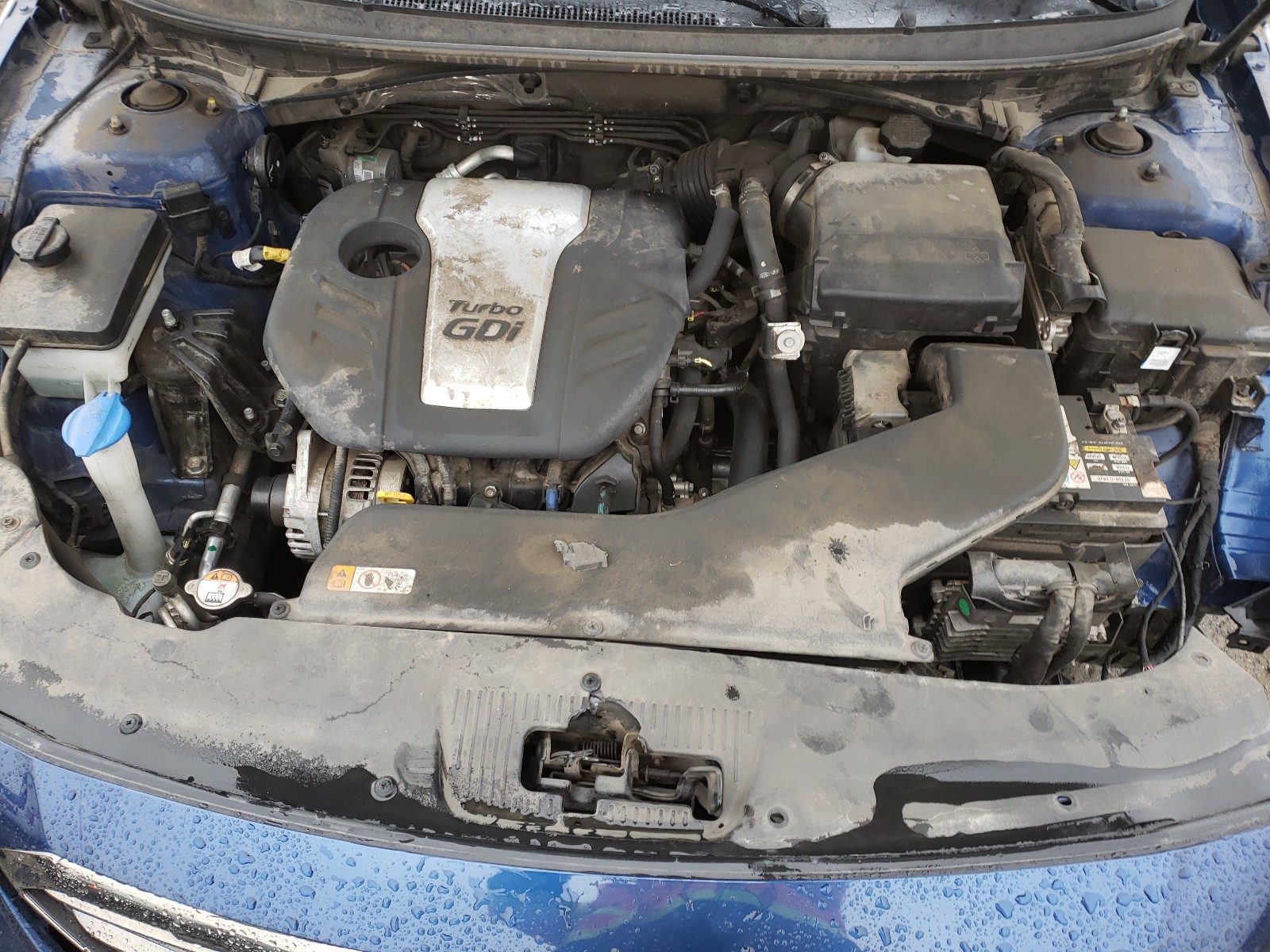 Photo 6 VIN: 5NPE24AA3FH162375 - HYUNDAI SONATA ECO 