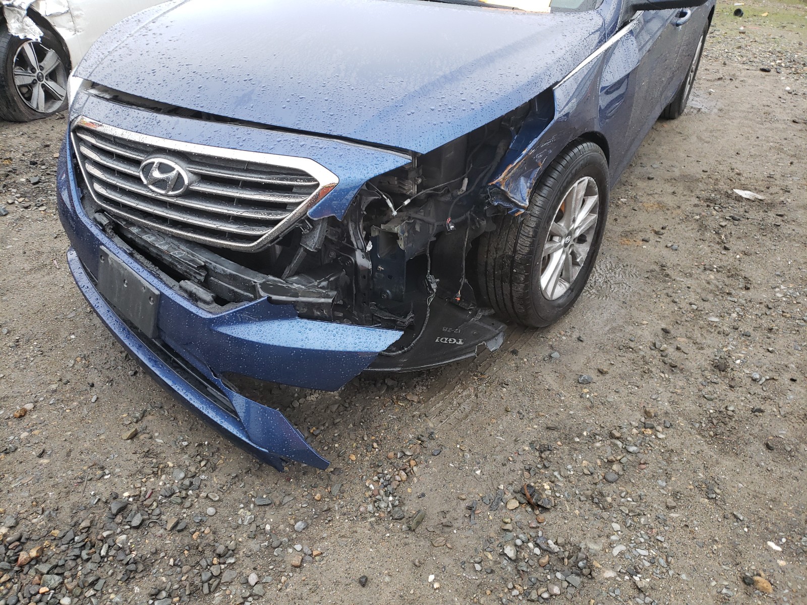 Photo 8 VIN: 5NPE24AA3FH162375 - HYUNDAI SONATA ECO 