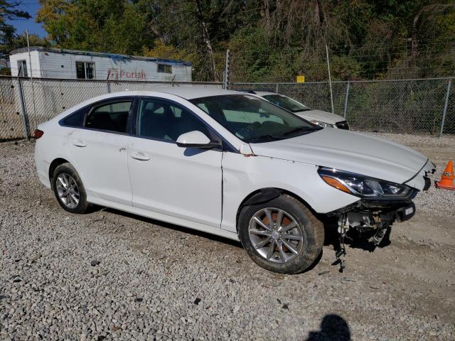 Photo 3 VIN: 5NPE24AA4KH774918 - HYUNDAI SONATA 