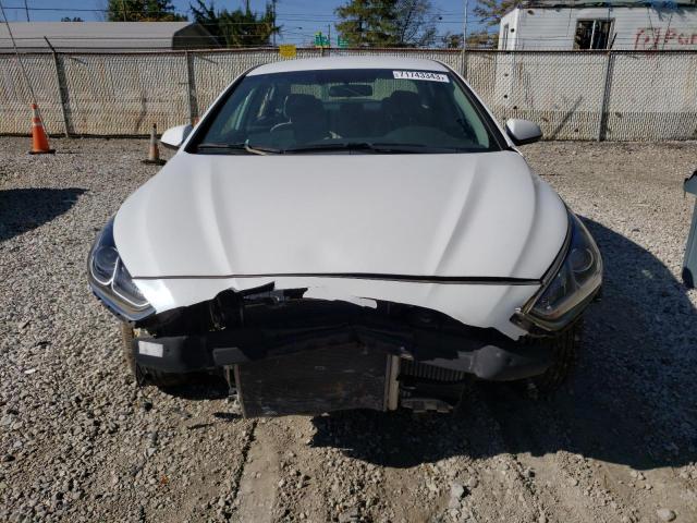 Photo 4 VIN: 5NPE24AA4KH774918 - HYUNDAI SONATA 