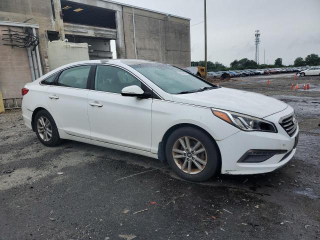 Photo 3 VIN: 5NPE24AA6FH114739 - HYUNDAI SONATA 