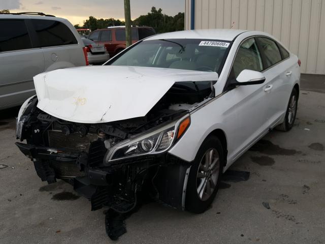 Photo 1 VIN: 5NPE24AA8FH124804 - HYUNDAI SONATA ECO 