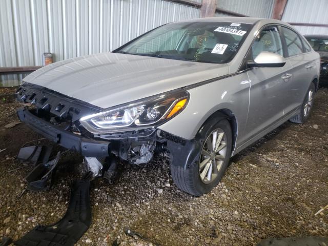 Photo 1 VIN: 5NPE24AA9JH698322 - HYUNDAI SONATA ECO 