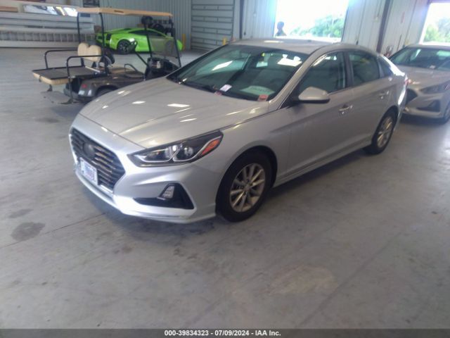 Photo 1 VIN: 5NPE24AA9JH707925 - HYUNDAI SONATA 