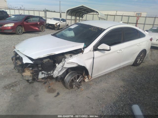 Photo 1 VIN: 5NPE24AAXFH129597 - HYUNDAI SONATA 