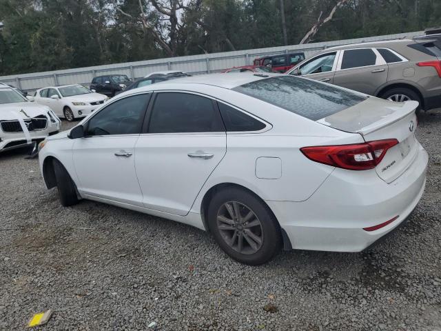 Photo 1 VIN: 5NPE24AAXFH155553 - HYUNDAI SONATA ECO 