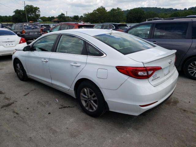 Photo 1 VIN: 5NPE24AAXGH427939 - HYUNDAI SONATA ECO 