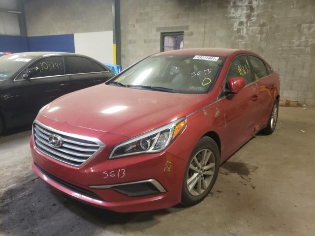 Photo 1 VIN: 5NPE24AAXHH455693 - HYUNDAI SONATA ECO 