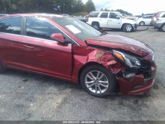 Photo 5 VIN: 5NPE24AF0FH006368 - HYUNDAI SONATA 