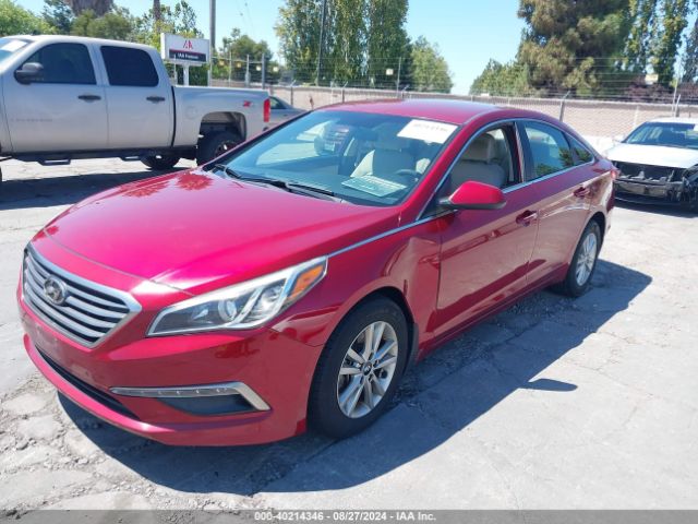 Photo 1 VIN: 5NPE24AF0FH114781 - HYUNDAI SONATA 