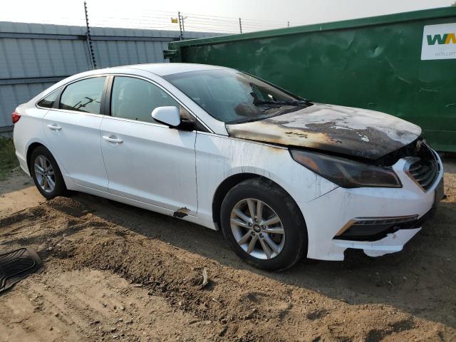 Photo 3 VIN: 5NPE24AF0FH122363 - HYUNDAI SONATA SE 